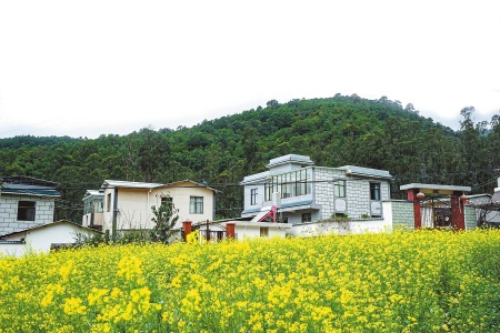 镜湖新村民居,一派新气象。